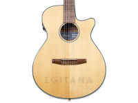 ibanez-aeg50n-nt-nylon_6010364ae46a5.jpg