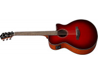 ibanez-aeg51-trh_63dbccc1627b0.jpg