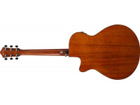 ibanez-aeg51-trh_63dbccc29000b.jpg