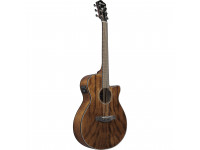 ibanez-aeg61-nmh_63cfe891d9a83.jpeg