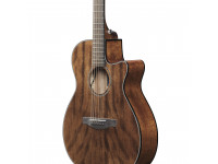 ibanez-aeg61-nmh_63cfe89375ee5.jpeg
