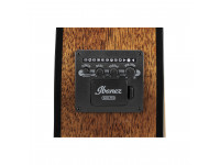 ibanez-aeg61-nmh_63cfe8944bdd7.jpeg
