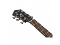 ibanez-aeg61-nmh_63cfe895262f9.jpeg