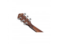 ibanez-aeg61-nmh_63cfe895e97d6.jpg