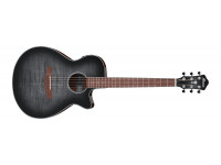 ibanez-aeg70-tch_606ad208b0085.jpg
