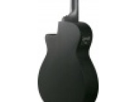 ibanez-aegb420-black-out_69e760d8d5ed2.jpg