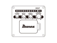 ibanez-aewc16qa-tkh_696f68eeb1d8c.jpg