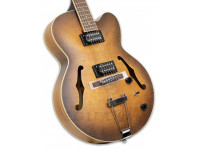ibanez-af55-tf_5ffc6ebe2f345.jpg