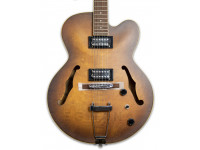 ibanez-af55-tf_5ffc6ebf1392d.jpg