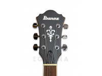 ibanez-af55-tf_5ffc6ec0cc9bd.jpg