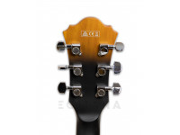 ibanez-af55-tf_5ffc6ec1a0402.jpg
