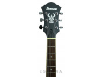 ibanez-af55-tkf_61235ee7a5076.jpg