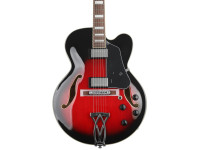 ibanez-af75-trs_640a1c0a0e3e9.jpg
