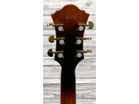 ibanez-af95-bs_61162e77e3d14.jpg