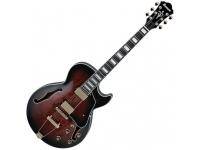 ibanez-ag95qa-dbs_5e429a371d3de.jpg