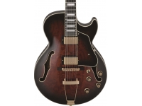 ibanez-ag95qa-dbs_5e429a385b1d4.jpg