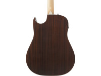 ibanez-alt50fa-bdb_6981c646ce43c.jpg