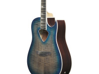 ibanez-alt50fa-bdb_6981c6495477f.jpg
