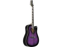 ibanez-alt50fa-tvt_6981c934910ed.jpg