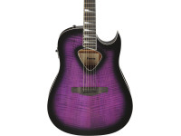 ibanez-alt50fa-tvt_6981c93692f7a.jpg