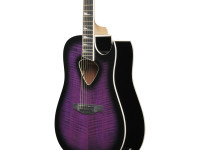 ibanez-alt50fa-tvt_6981c93b94ba8.jpg