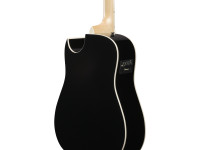 ibanez-alt50fa-tvt_6981c93e18077.jpg