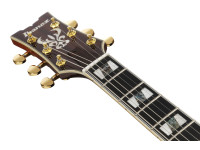 ibanez-am153fm-att_6978e86e76a16.jpg