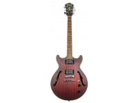 ibanez-am53-srf-artcore_5ffc47703c06e.jpg