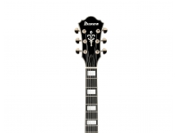 ibanez-am93me-natural_5dc14773b83c0.jpg