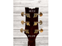 ibanez-ar520hfm-vls_609abdc829f53.jpg