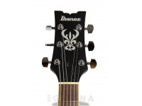 ibanez-artcore-am53-tobacco-flat_609bf68a8e703.jpg