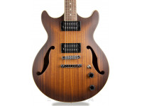 ibanez-artcore-am53-tobacco-flat_609bf68ba9a48.jpg