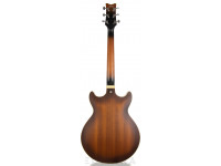 ibanez-artcore-am53-tobacco-flat_609bf68e65a83.jpg