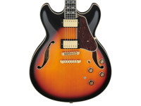 ibanez-as113-bs_621f9572af339.jpg