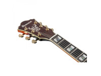 ibanez-as113-bs_621f9573e7cfc.jpg