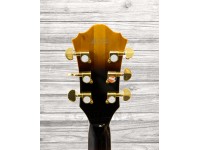 ibanez-as153-ays_5ff5d8a8eb1bd.jpg