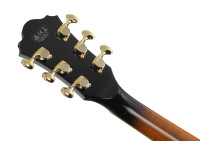 ibanez-as2000-bs_67571a17af53e.jpg