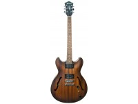 ibanez-as53-tf_5efe0157afead.jpg