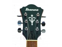 ibanez-as53-tf_5efe0158b0a07.jpg