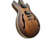 ibanez-as53-tf_620aa2ffc12a1.jpg
