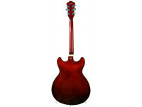 ibanez-as73-tcd_6139d8fd43ba7.jpg