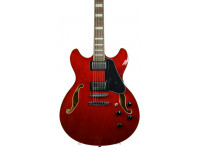 ibanez-as73-tcd_6139d8ff214a7.jpg