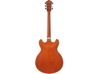 ibanez-as73-ttf_67d851961839f.jpg