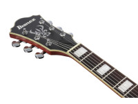 ibanez-as73-ttf_67d851aeabd90.jpg