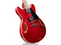 ibanez-as7312-tcd_605889e66b8a0.jpg
