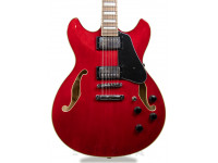 ibanez-as7312-tcd_605889e9e512b.jpg