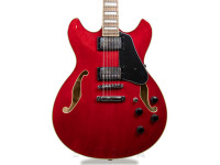 ibanez-as7312-tcd_630742057f02e.jpg