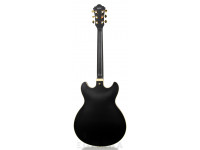 ibanez-as73gbkf_6058b0485487e.jpg