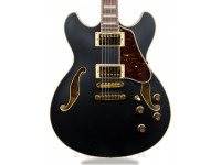 ibanez-as73gbkf_6058b0492da86.jpg