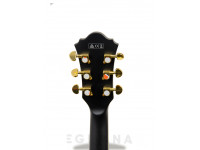 ibanez-as73gbkf_6058b04a1c78b.jpg